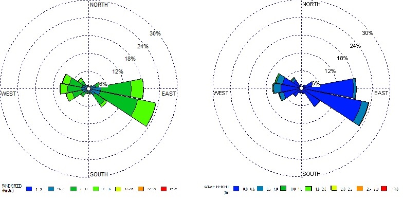 Wind and Wave Rose.jpg